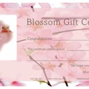 Blossom Gift Cert 1
