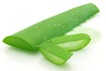 blossomeco-Aloe-vera-18500171